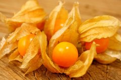 農(nóng)業(yè)自動(dòng)氣象站助力菇娘規(guī)?；N植