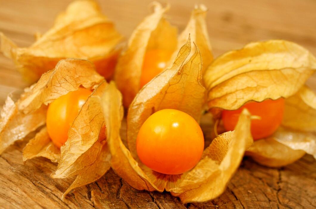 農(nóng)業(yè)自動氣象站助力菇娘規(guī)?；N植